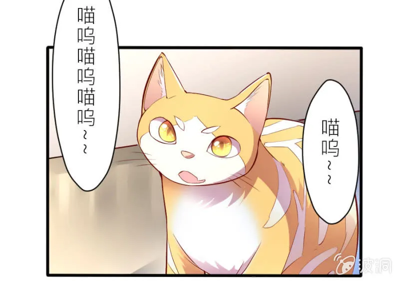 第35话 早晚是穆家的人 第16页