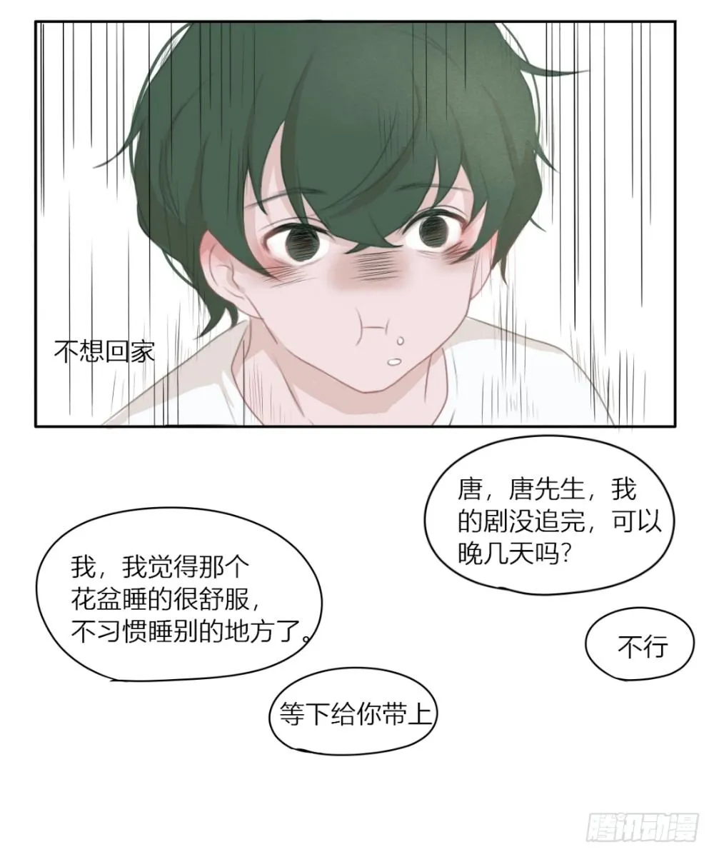 不想回家了 第4页