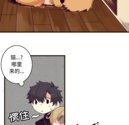 第5话 第13页