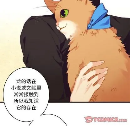 第19话 第41页
