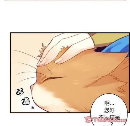 第24话 第51页