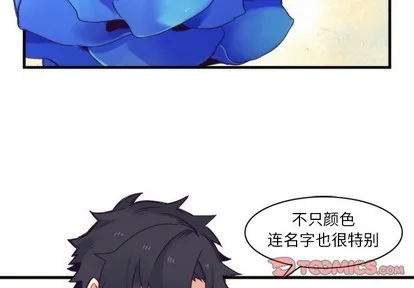 第41话 第2页