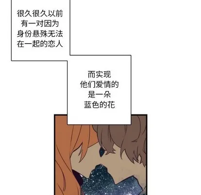 第41话 第19页
