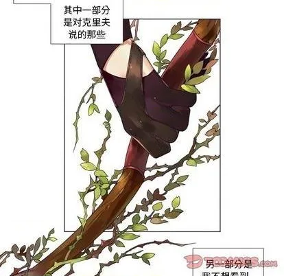 第81话 第13页