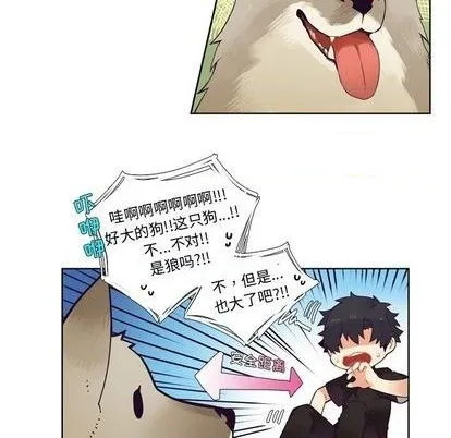 第84话 第22页