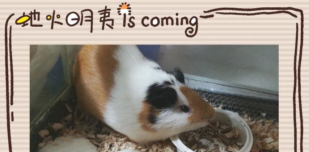一友顶十黑 第131页