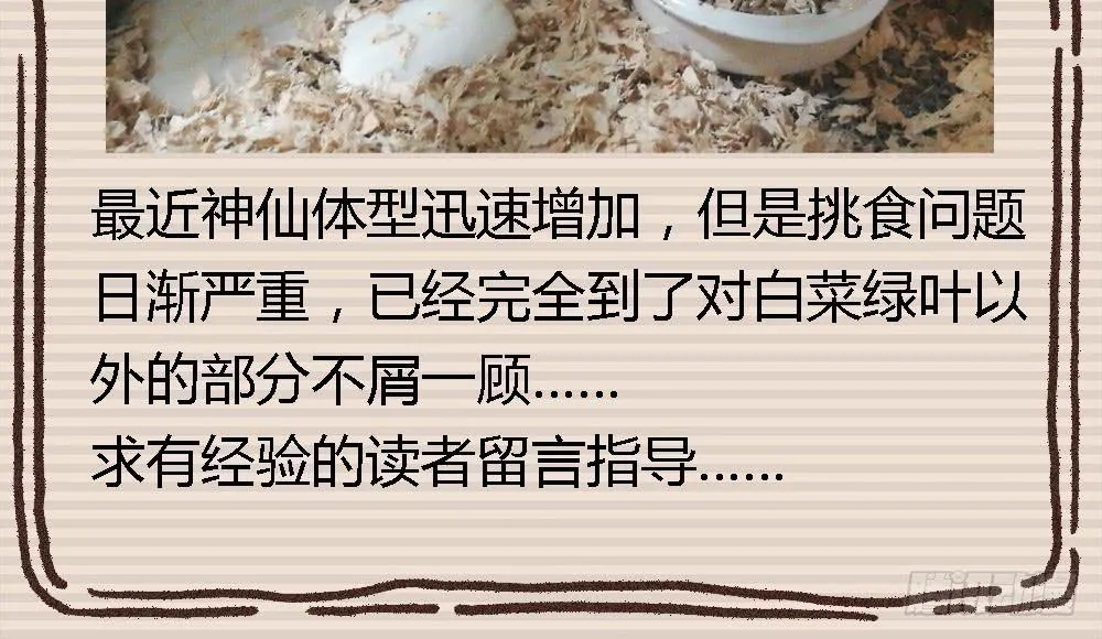 一友顶十黑 第132页