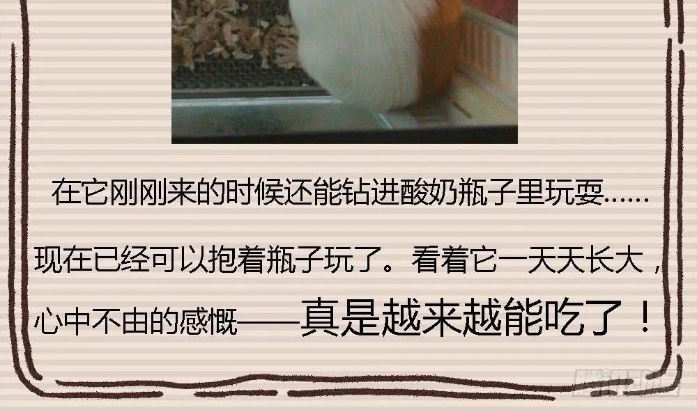 真的是小惊喜! 第73页