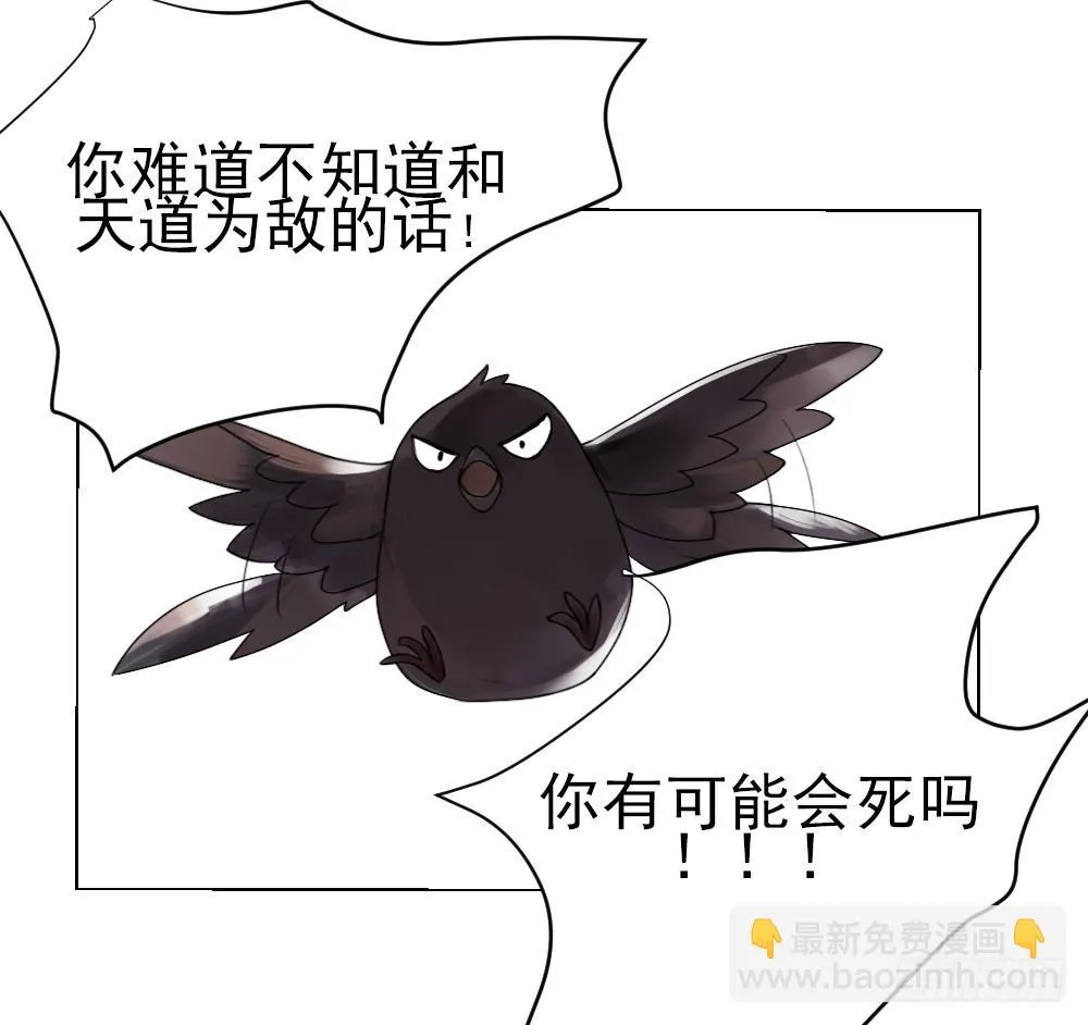 震惊！不服从就会死掉！？ 第33页