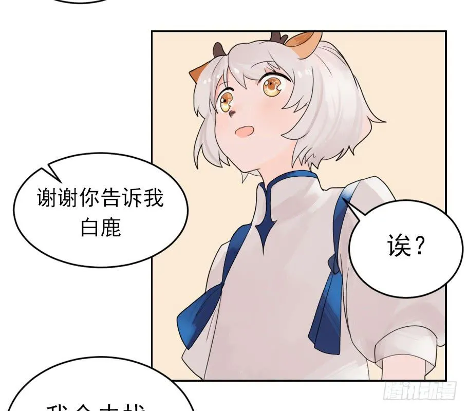 从今天开始，我对你负责 第13页