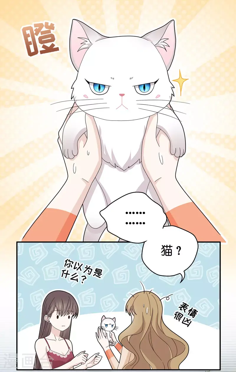 第41话 隐秘的过去4 第13页