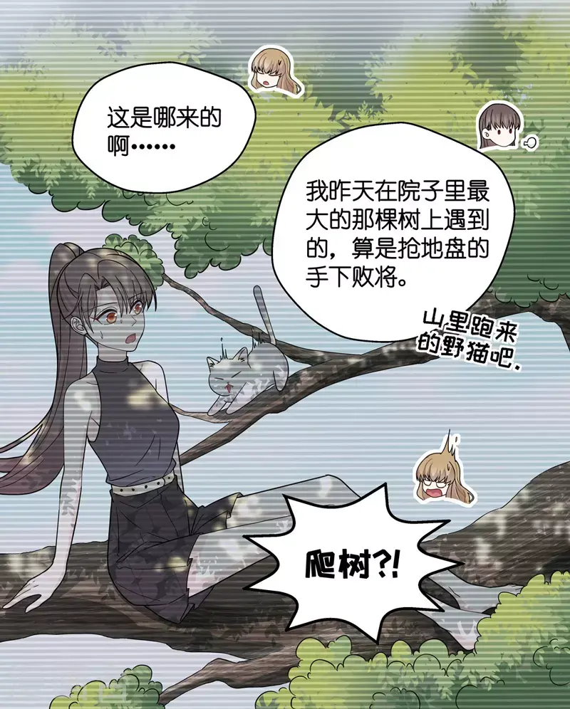 第41话 隐秘的过去4 第14页