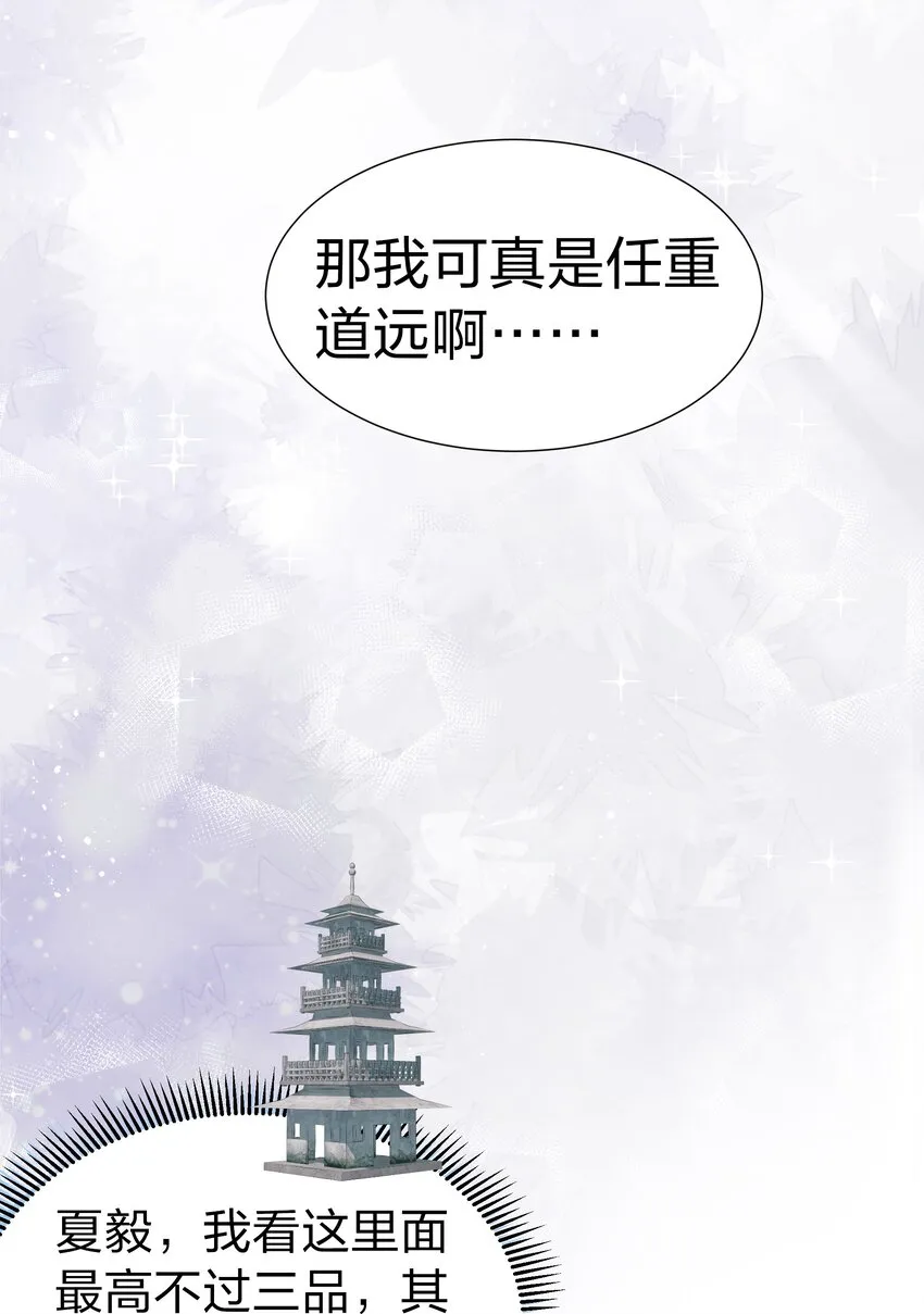 82 灵药！稀有体质 第20页