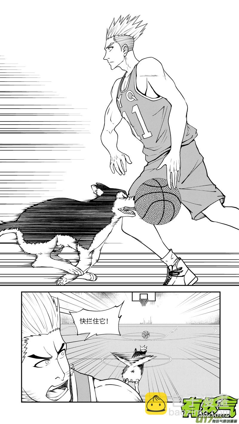 100056 新篮 第2页