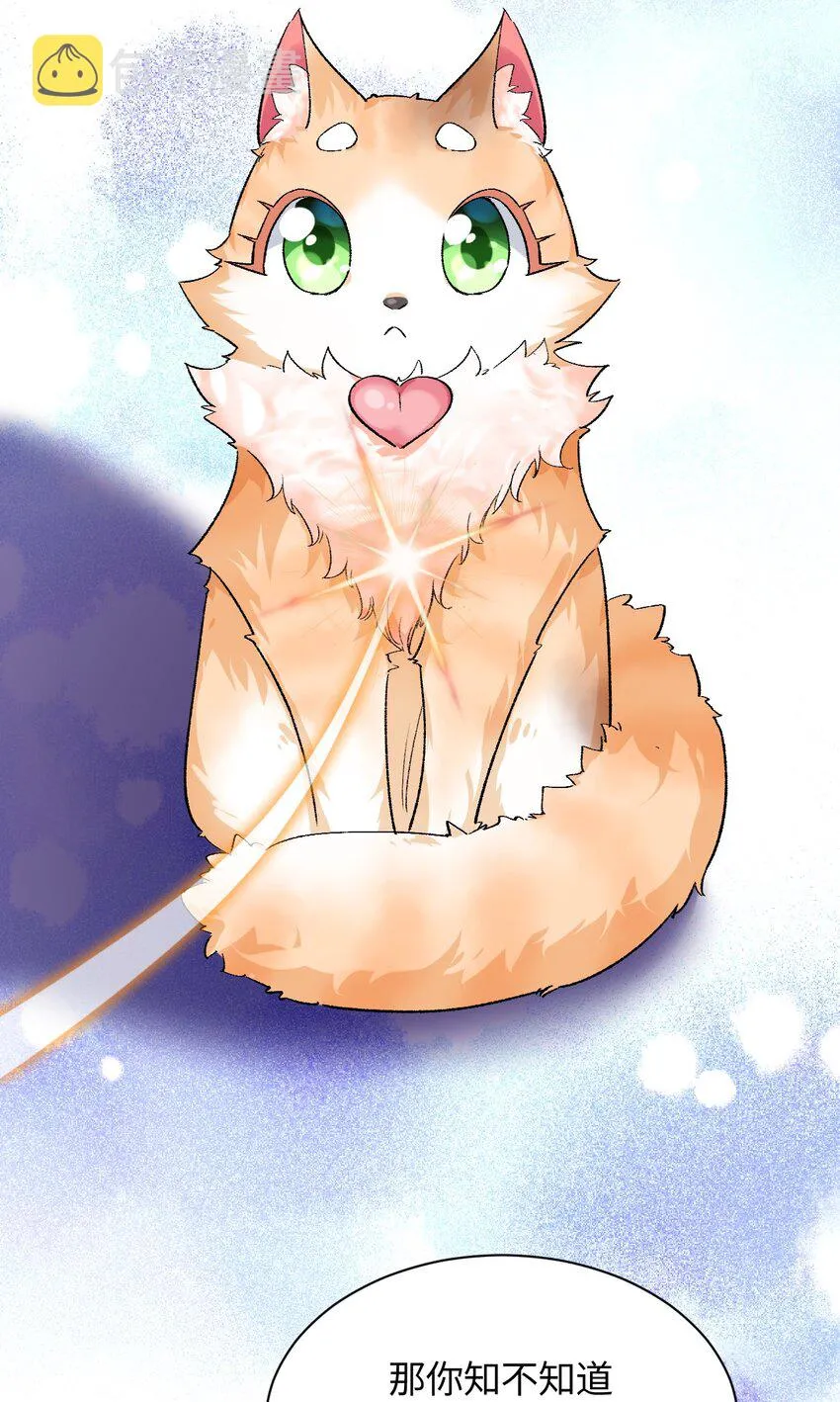 015 救猫咪！ 第18页