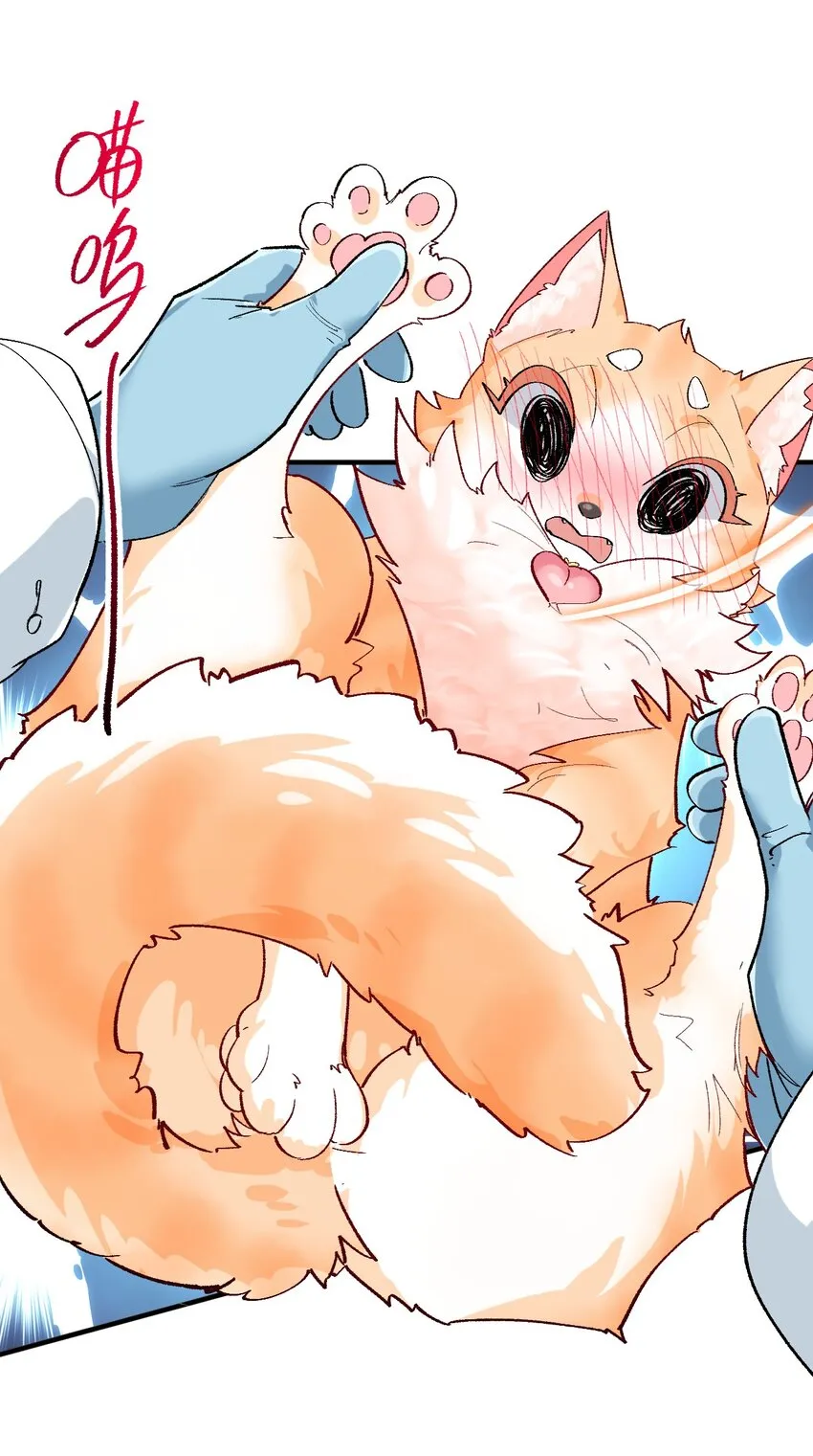 015 救猫咪！ 第53页