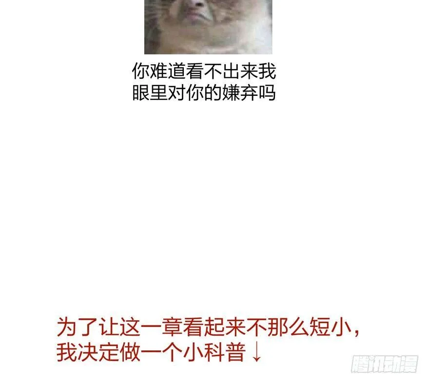 震惊！梦界逗猫神器竟然是？ 第37页