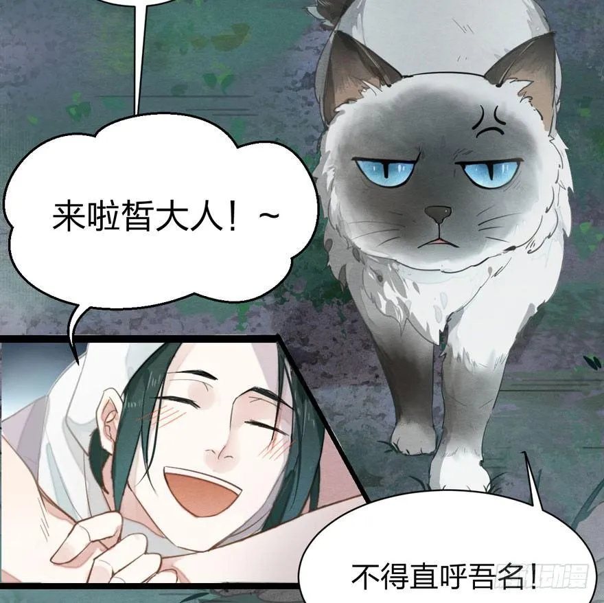 为抢男主，黑脸猫竟出口成（）？ 第16页