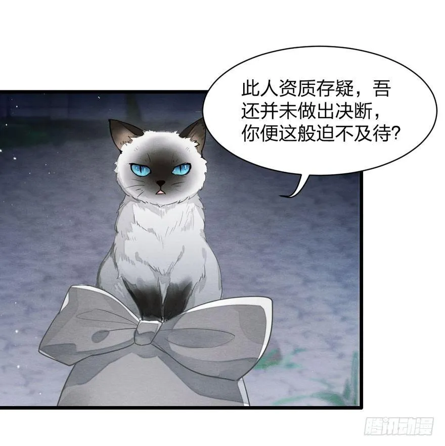 为抢男主，黑脸猫竟出口成（）？ 第21页
