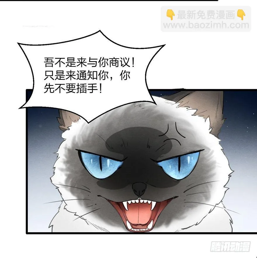 为抢男主，黑脸猫竟出口成（）？ 第24页