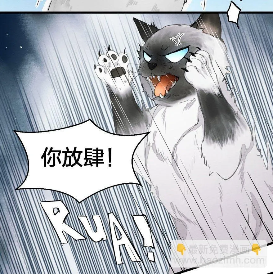 为抢男主，黑脸猫竟出口成（）？ 第27页