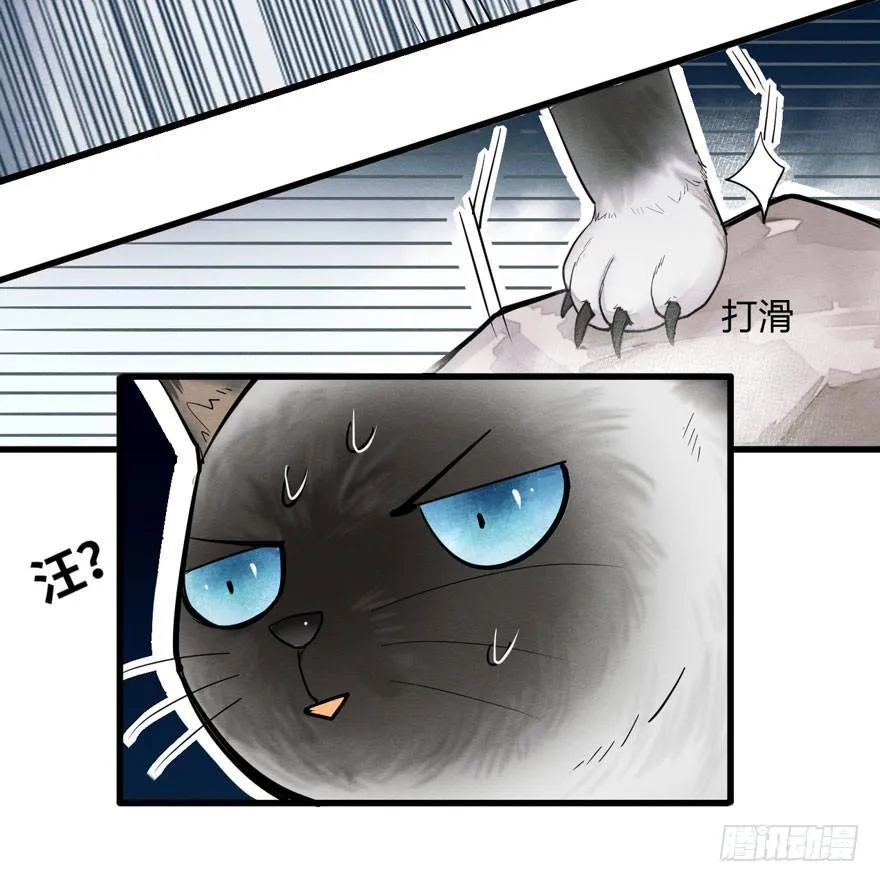 为抢男主，黑脸猫竟出口成（）？ 第28页