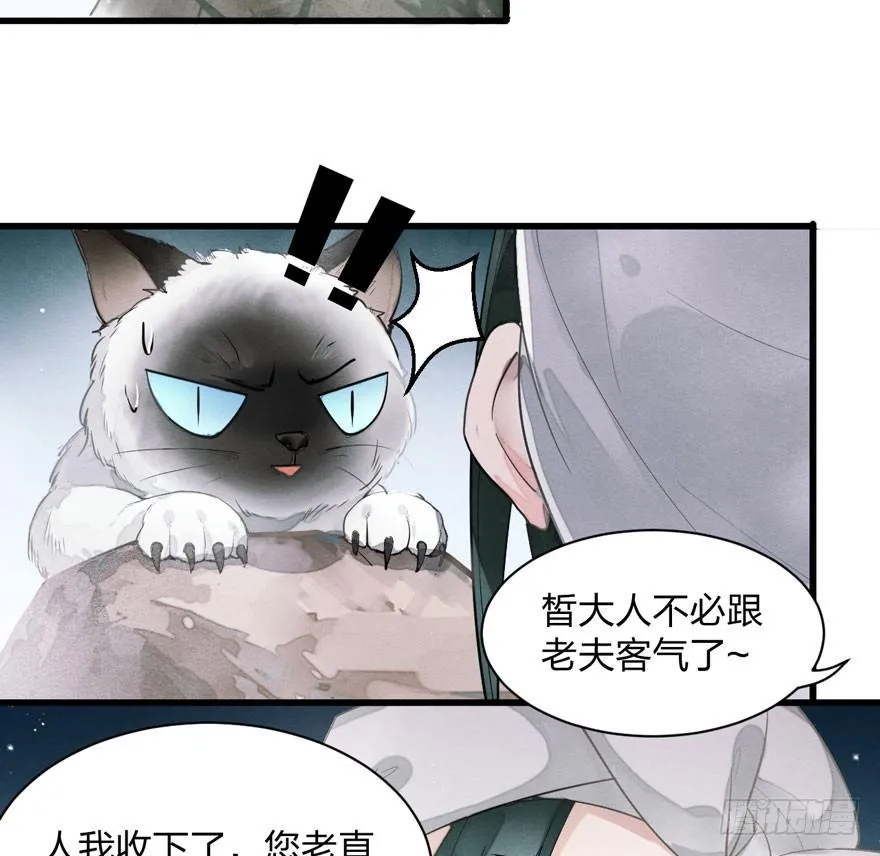 为抢男主，黑脸猫竟出口成（）？ 第33页