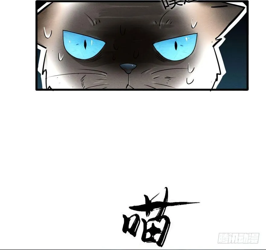 为抢男主，黑脸猫竟出口成（）？ 第37页