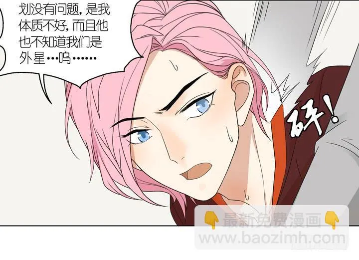 巴点宕的踏脚石？ 第11页