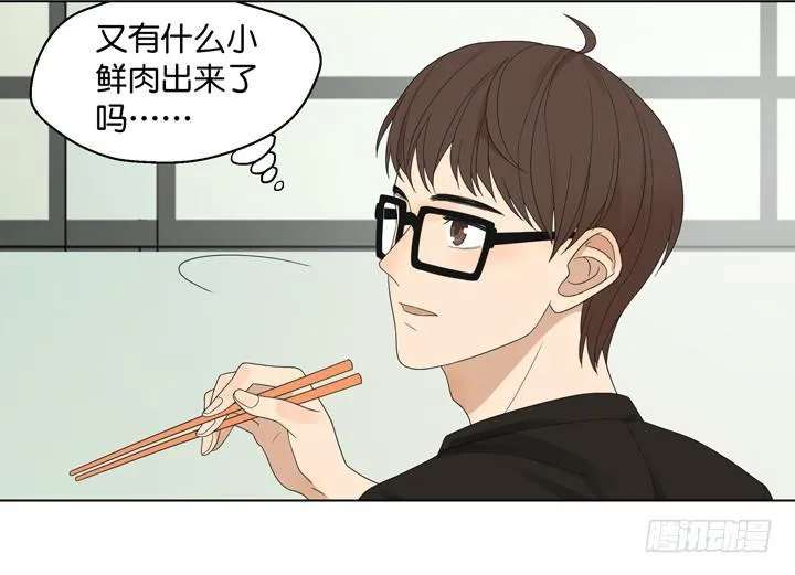 我生命中的光 第13页