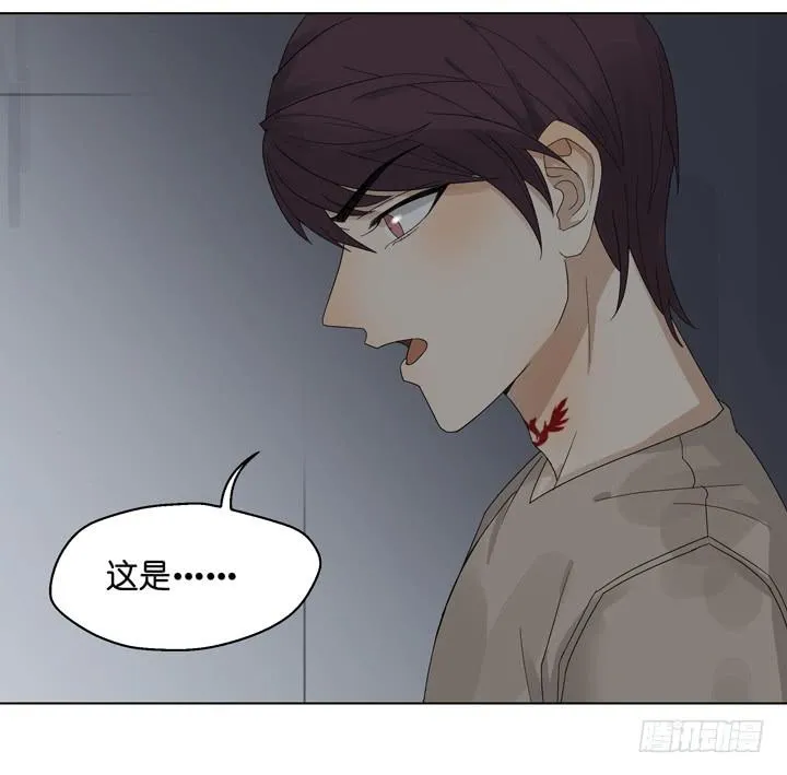 你在心疼他？ 第18页
