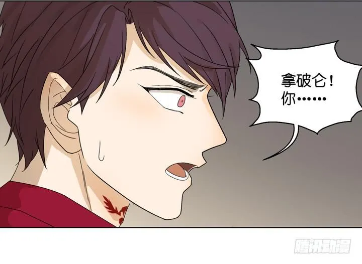 拿破仑的最终决定 第10页