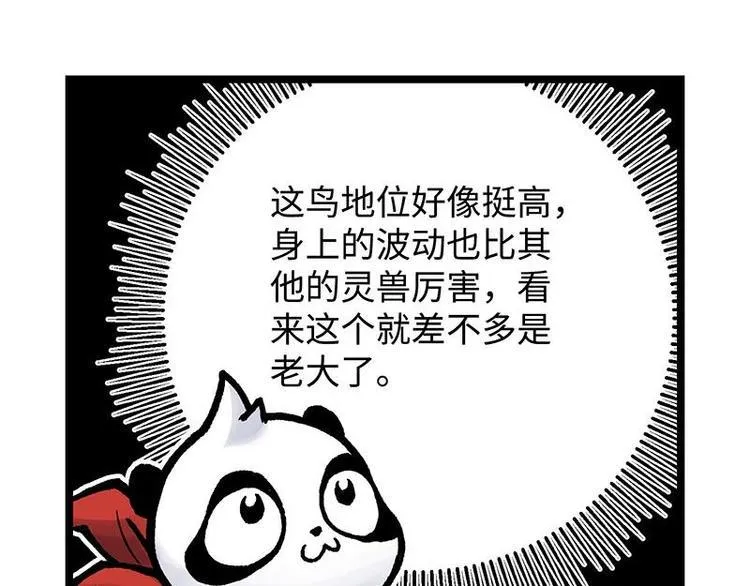 第12话 灵兽场挑战 第51页