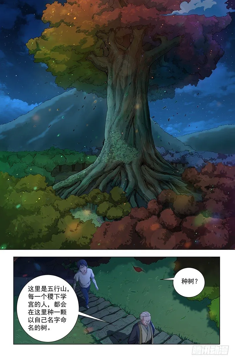 30五行树 第2页