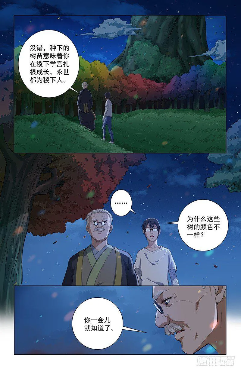 30五行树 第3页
