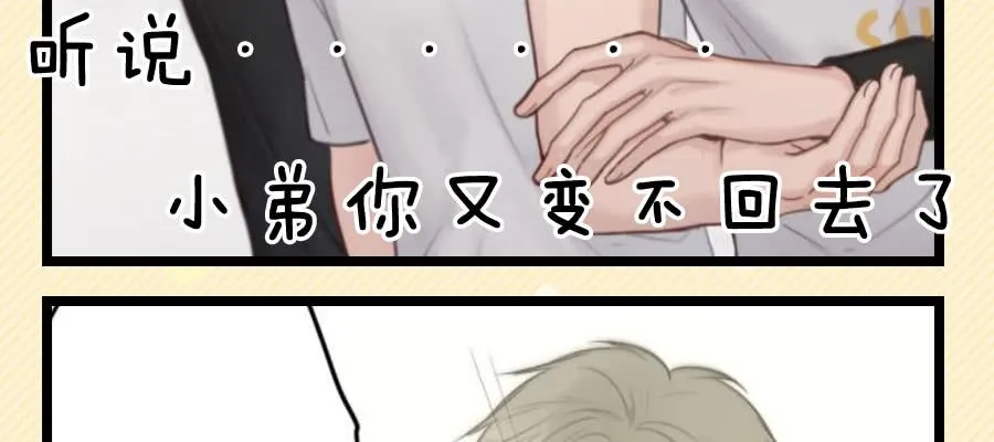 给粉丝们做爱心月饼 第45页