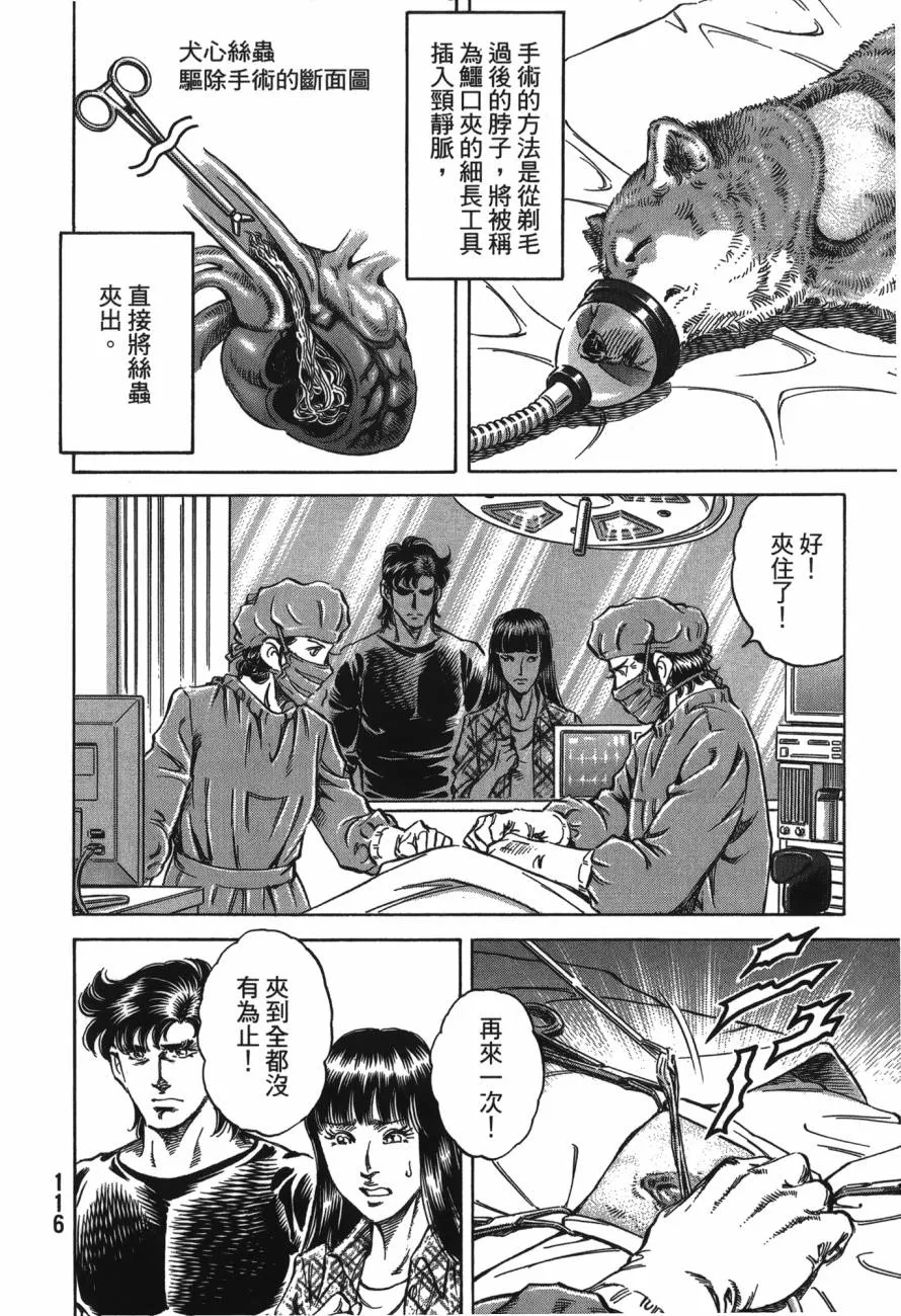第23卷 第117页