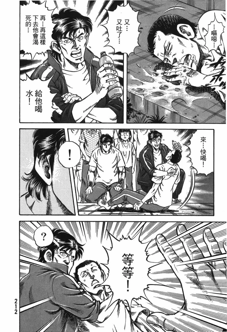 第24卷 第213页