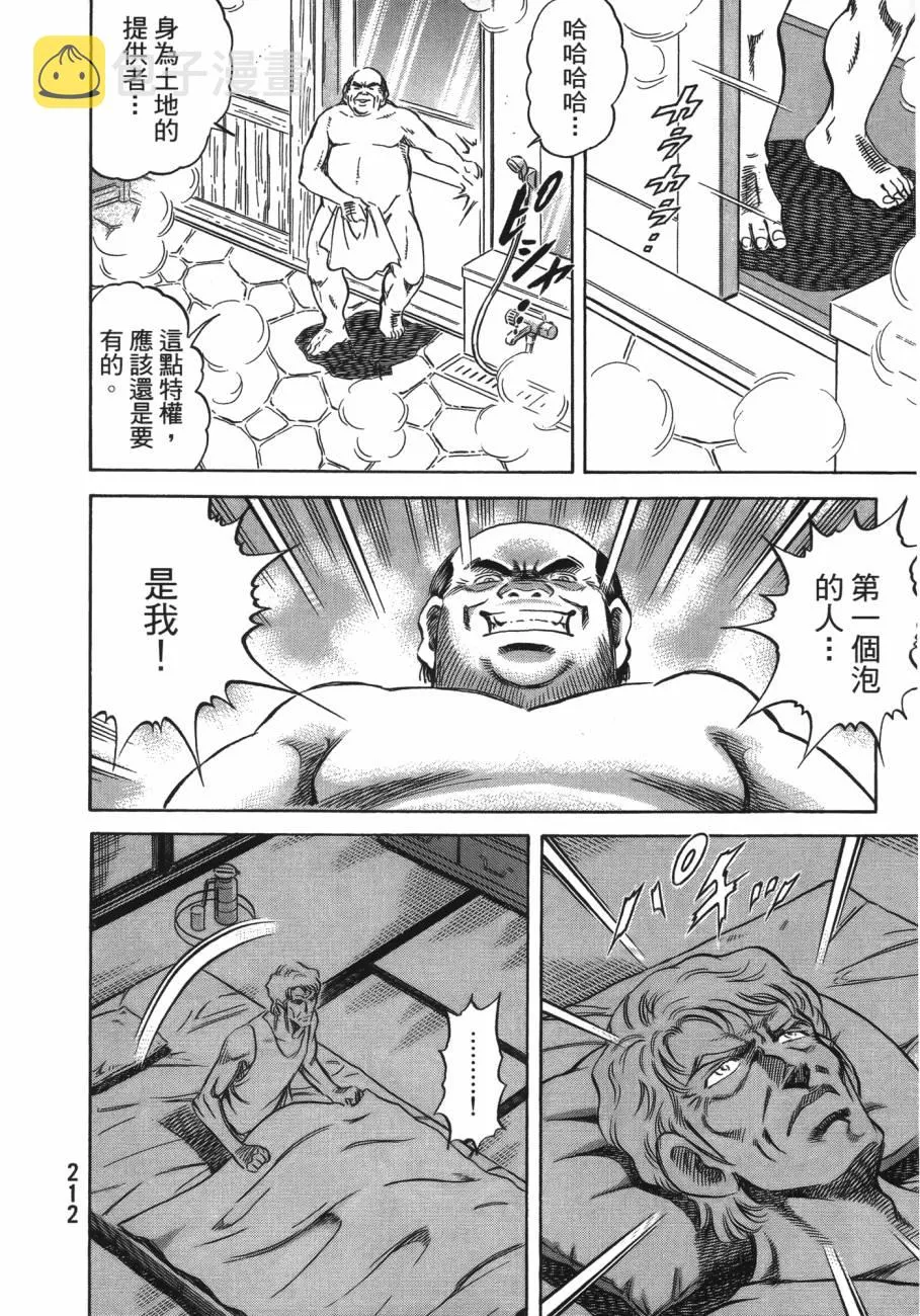 第20卷 第213页