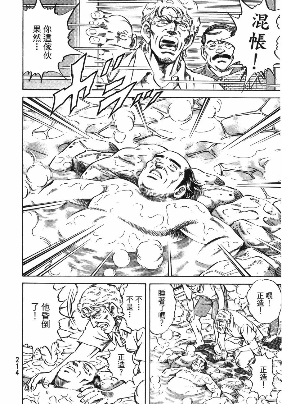 第20卷 第215页