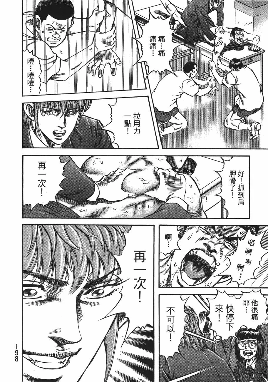第19卷 第199页