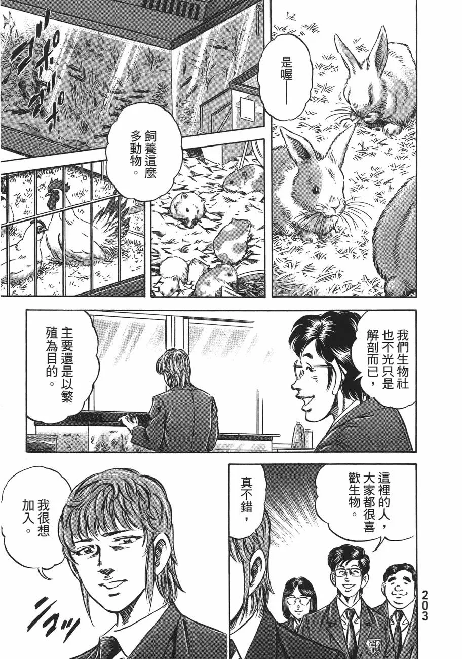 第19卷 第204页