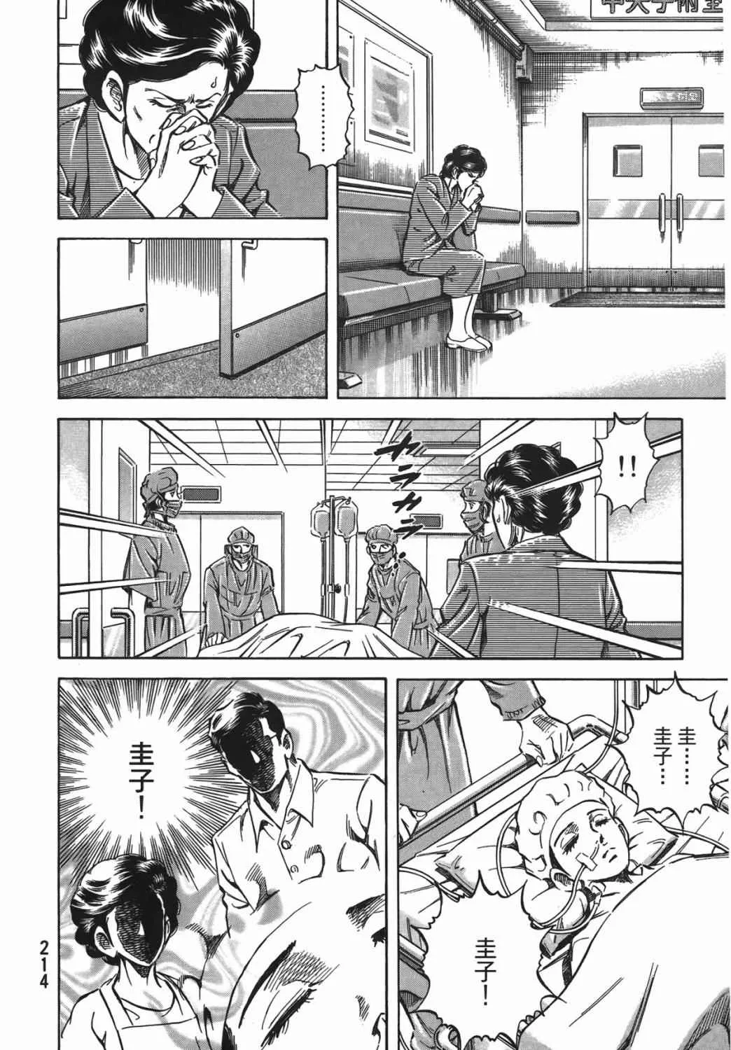 第15卷 第215页
