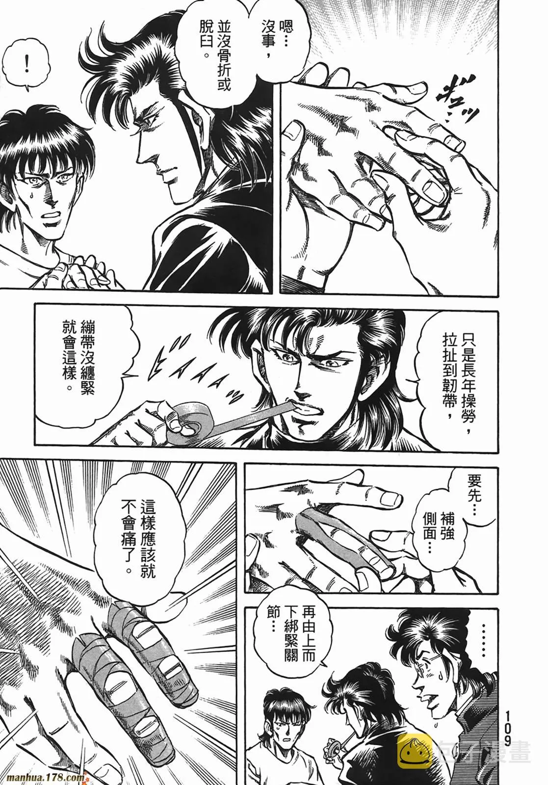 第13卷 第110页