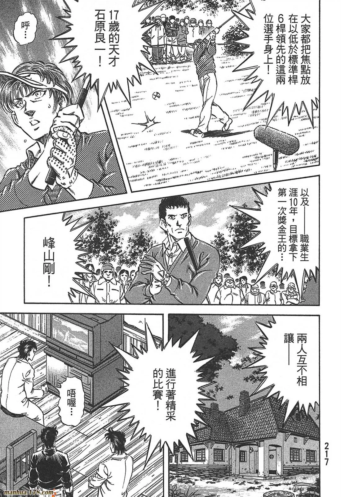 第10卷 第219页