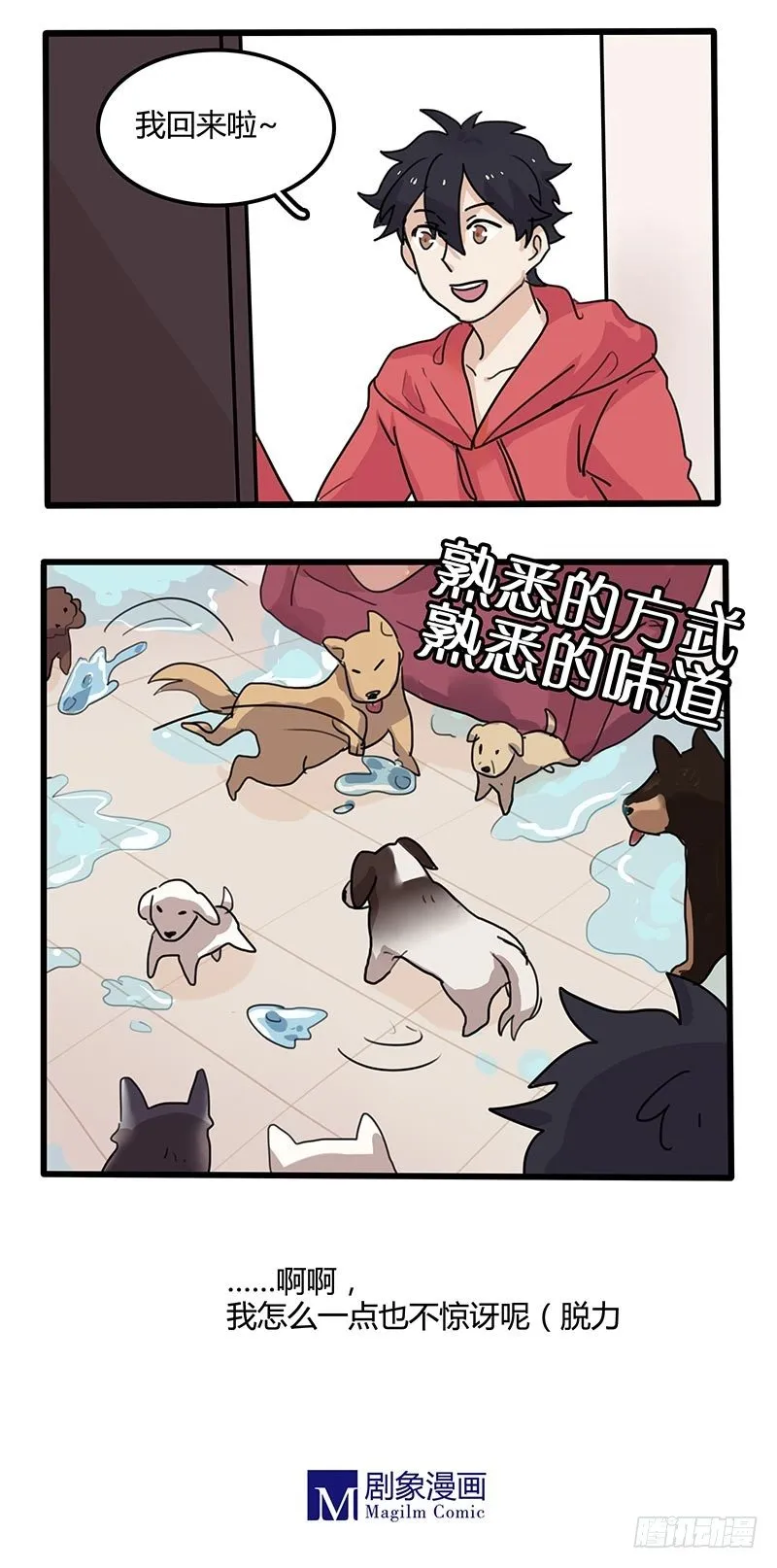 还是熟悉的配方 第4页