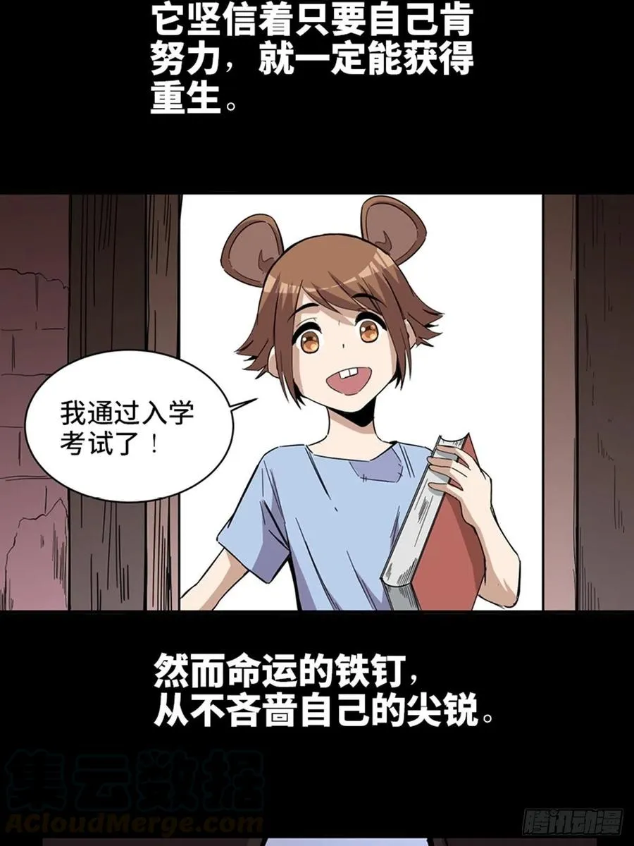 最终话·鼠裔崛起 第17页
