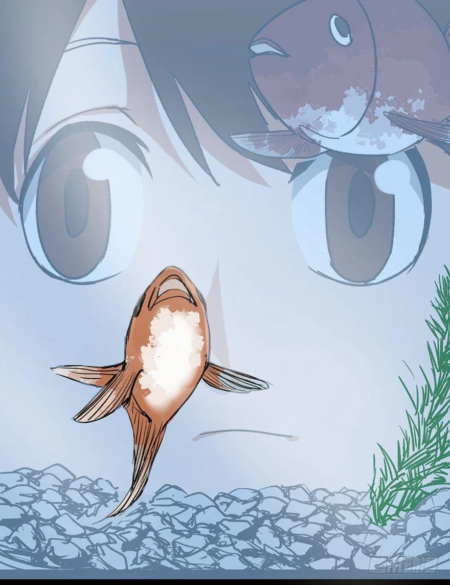 第十二话·鱼 缸 第25页