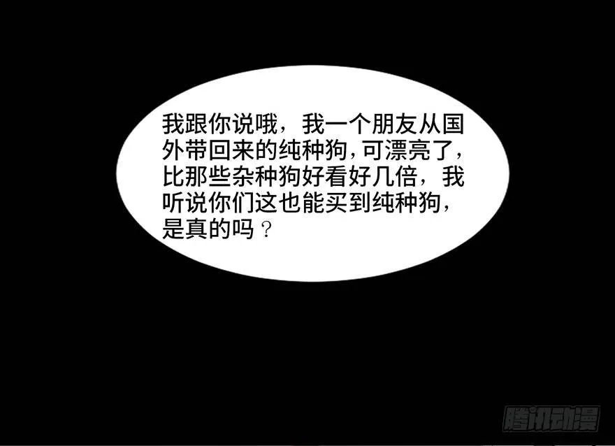第三十话·宠物商 第2页