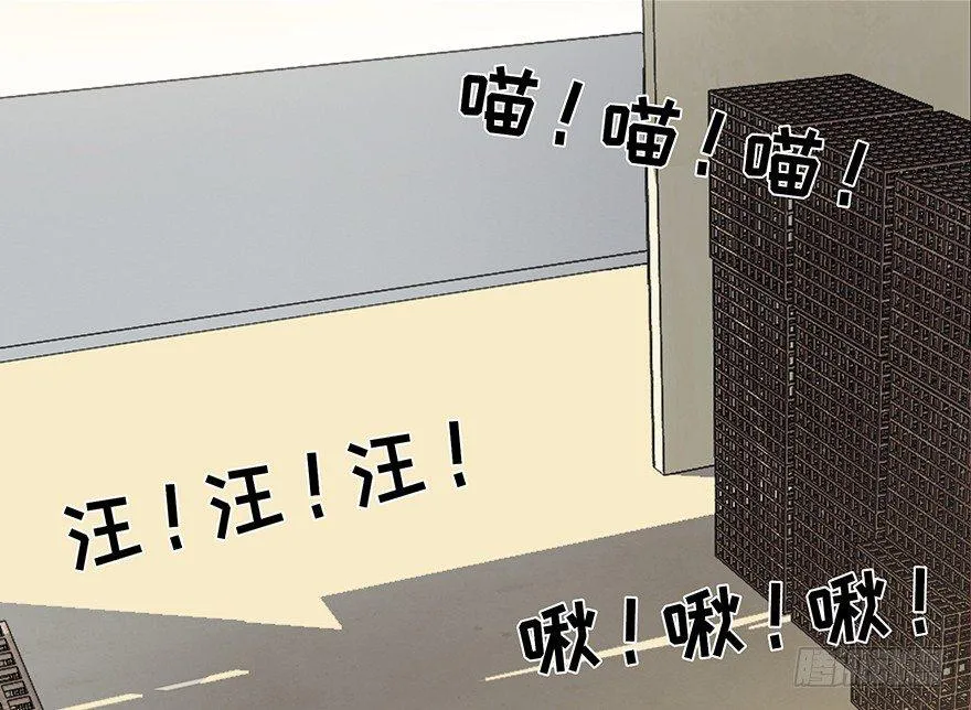 第三十话·宠物商 第23页